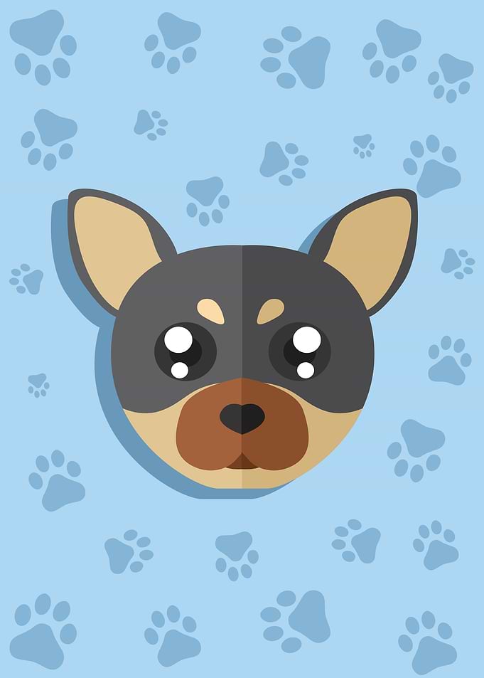 Cute Dog Head