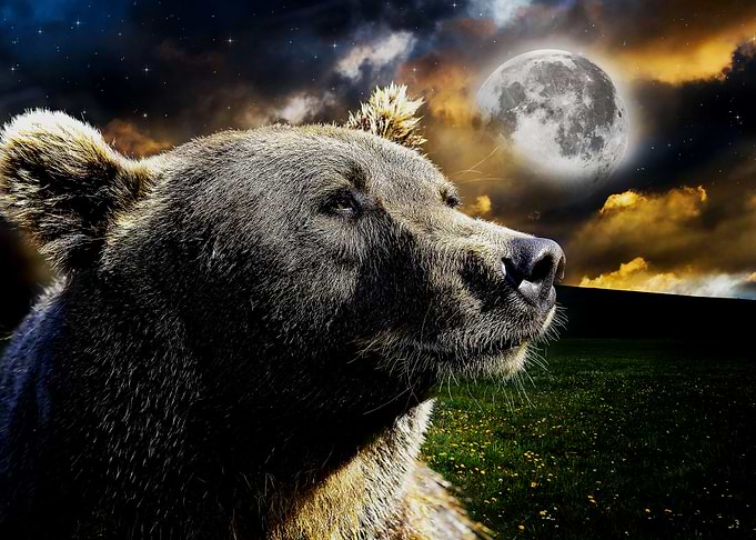 Bear Moon Galaxy