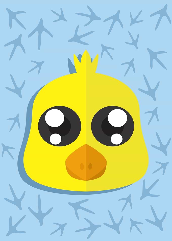 Cute Chicken Head