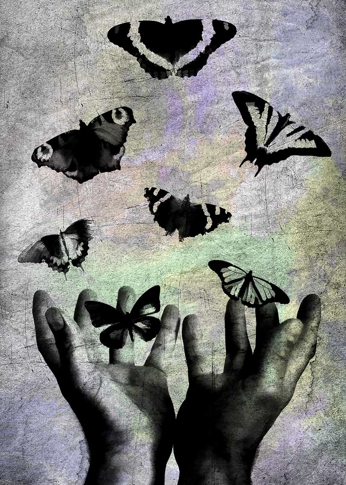 Butterflies