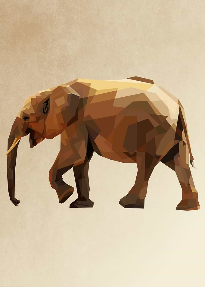 elephant walks