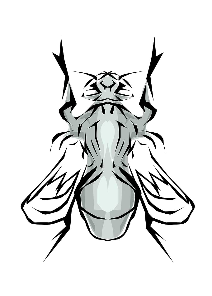 Insect Tribal Style