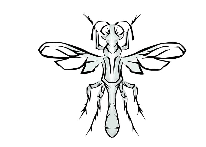 Insect Tribal Style
