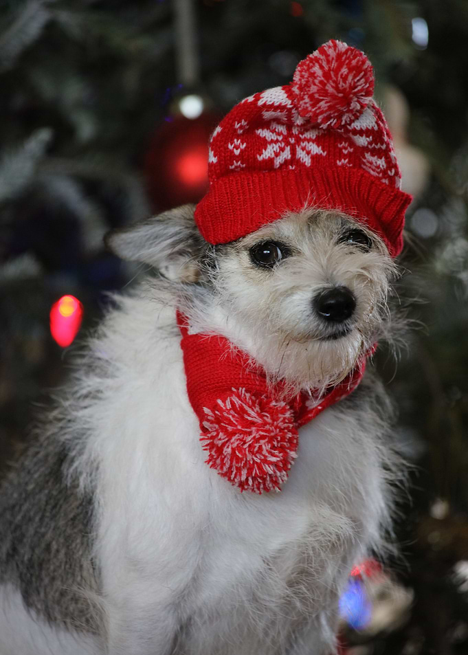 Baby its cold outside
