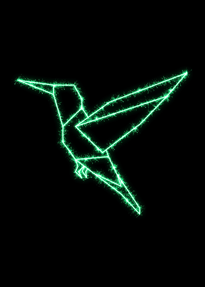 Humming Bird