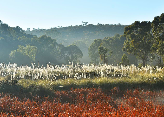 Country Landscape