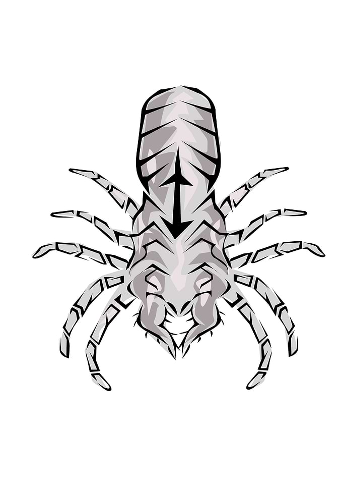 Insect Tribal Style