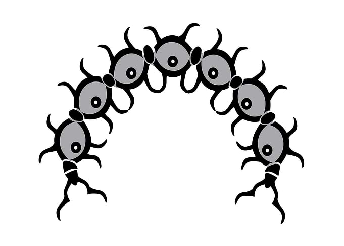 Insect Tribal Style