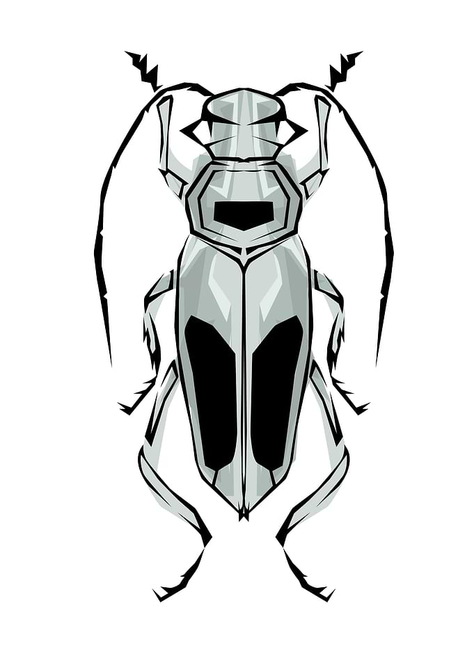 Insect Tribal Style