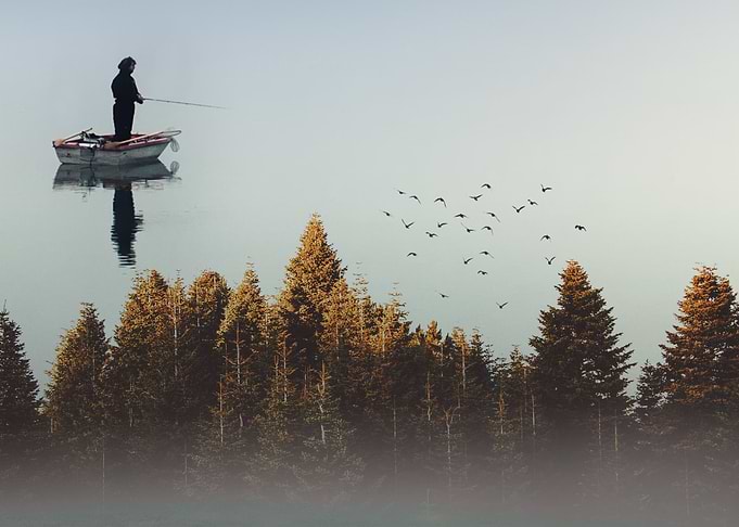 Board in Sky forest