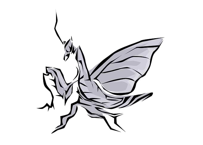 Insect Tribal Style