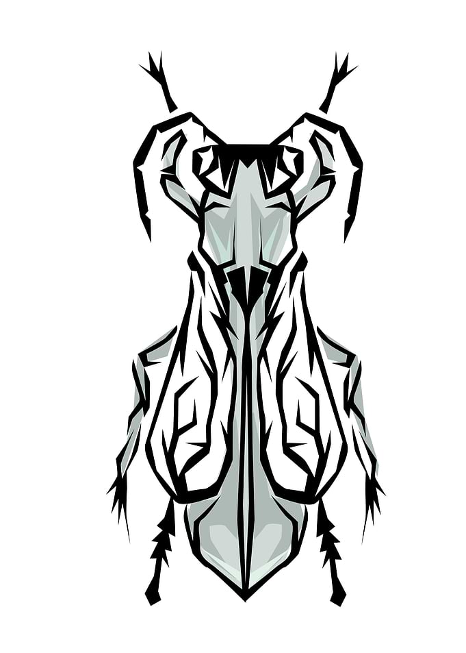 Insect Tribal Style