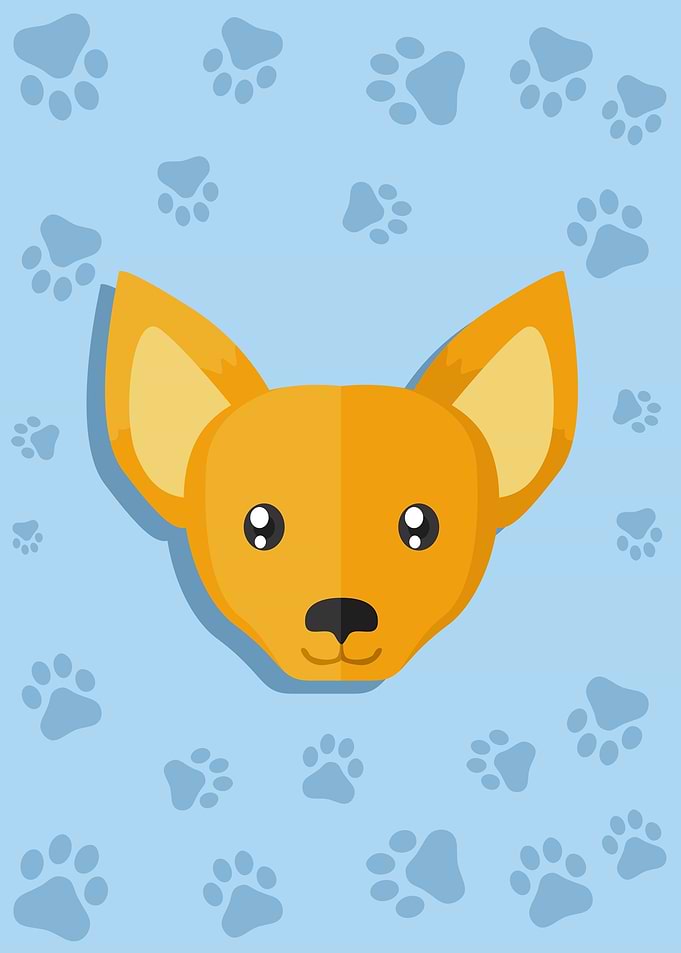 Cute Dog Head