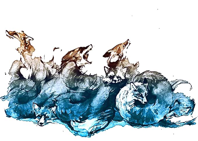 Fox Oil in forest 2