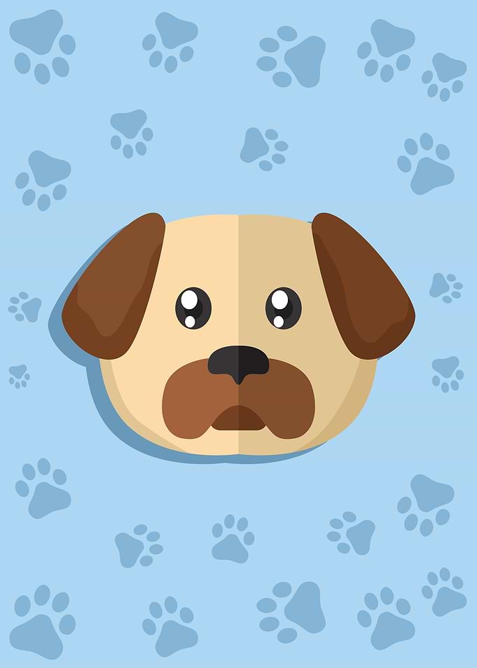 Cute Dog Head