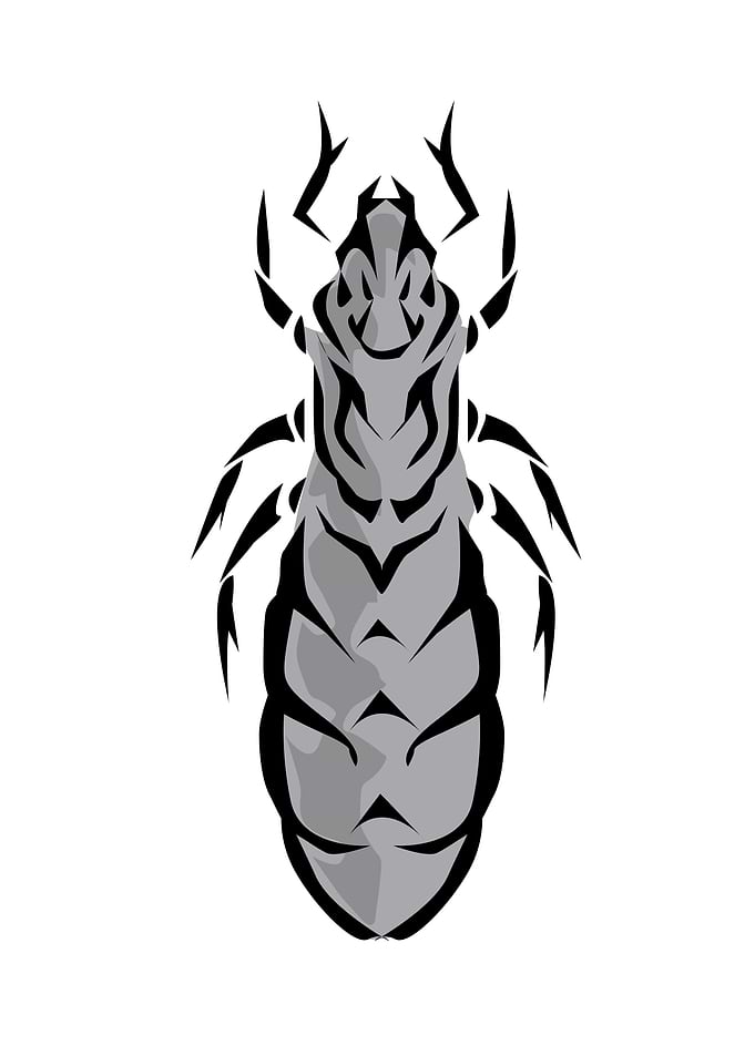 Insect Tribal Style