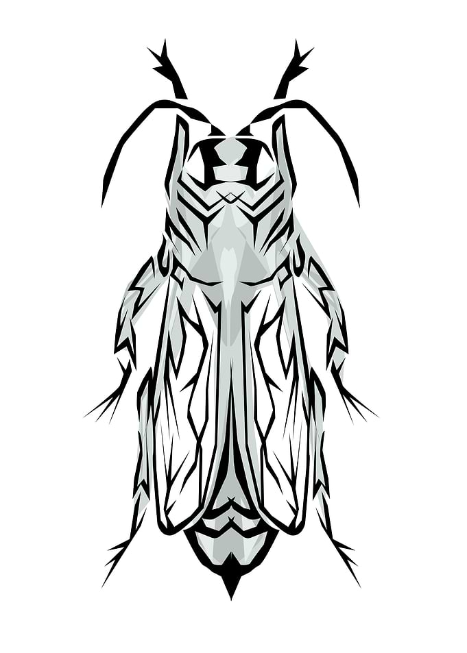 Insect Tribal Style