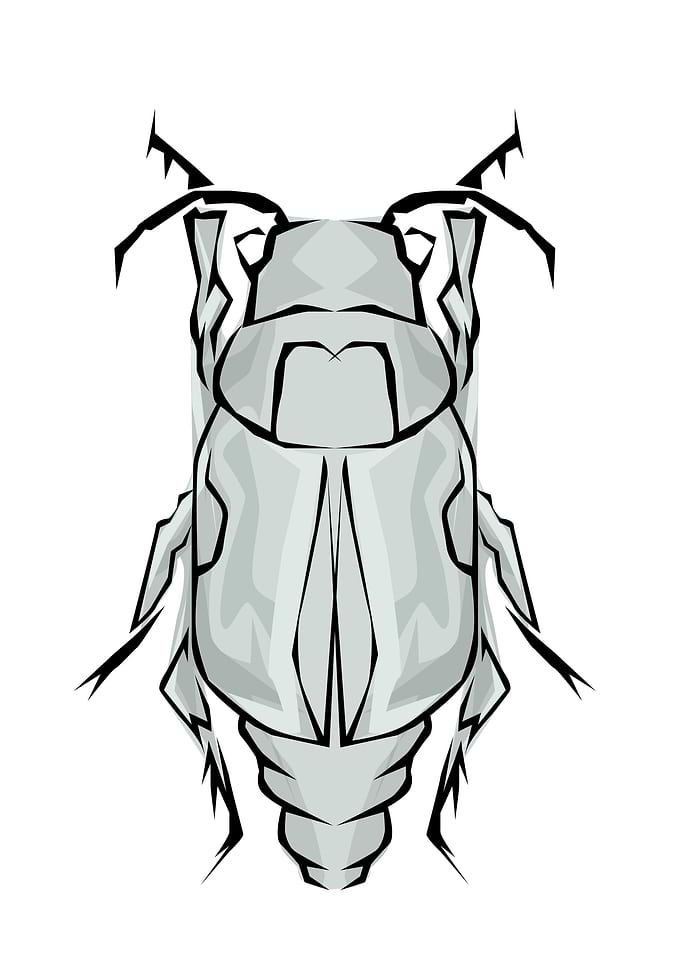 Insect Tribal Style