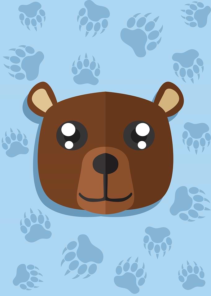 Cute Bear Head