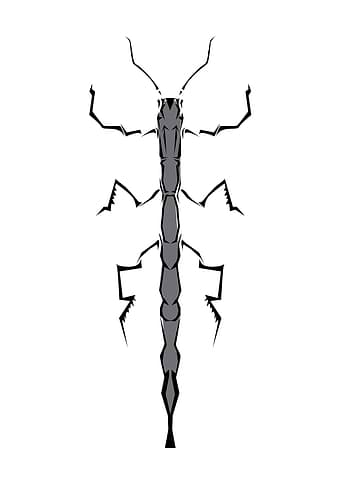 Insect Tribal style