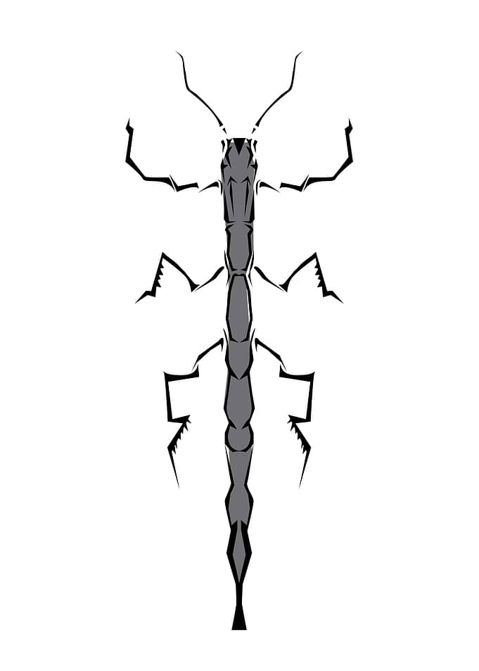 Insect Tribal style