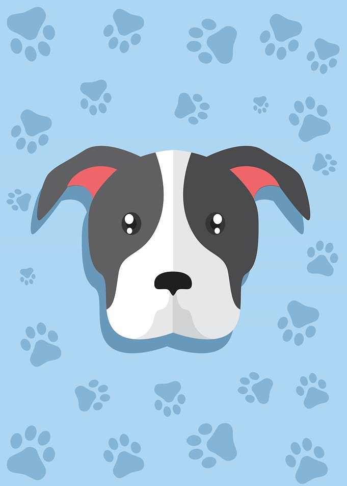 Cute Dog Head