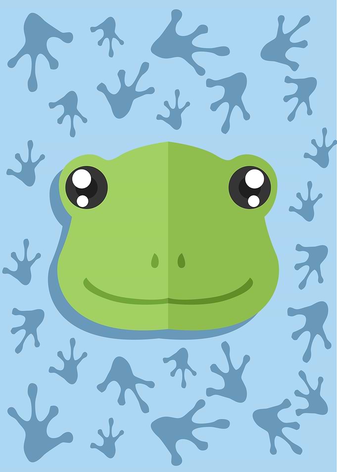Cute Frog Head
