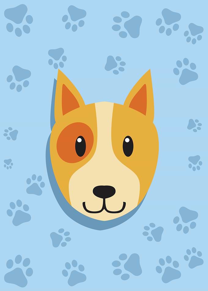 Cute Dog Head
