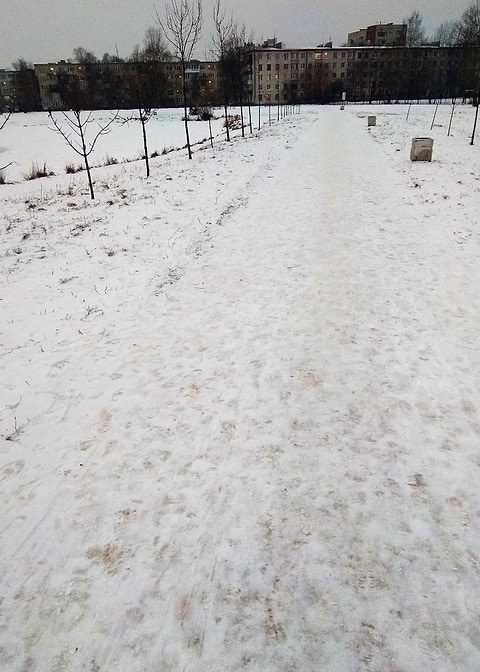 The Winter Path