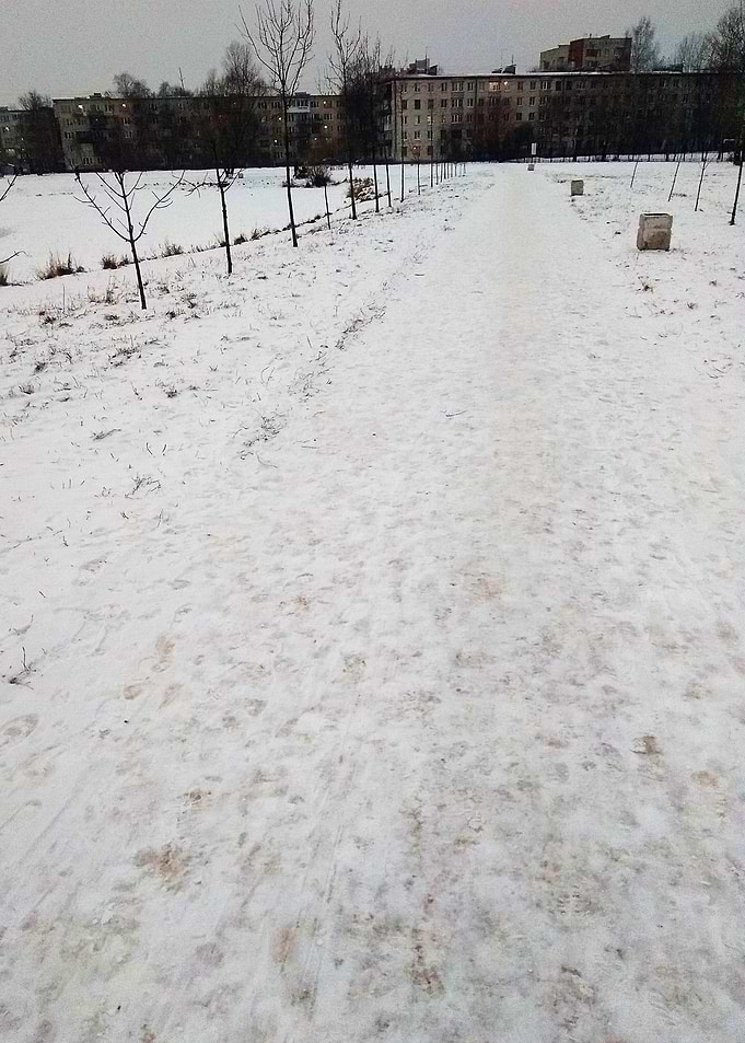The Winter Path