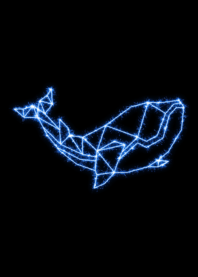 Whale