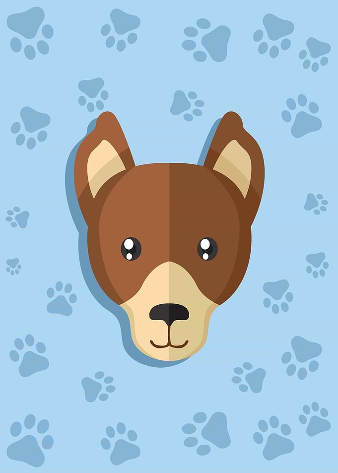 Cute Dog Head