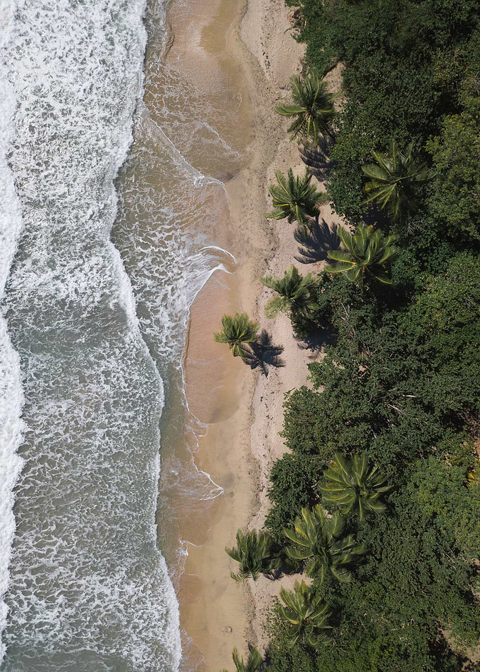 Palm Beach