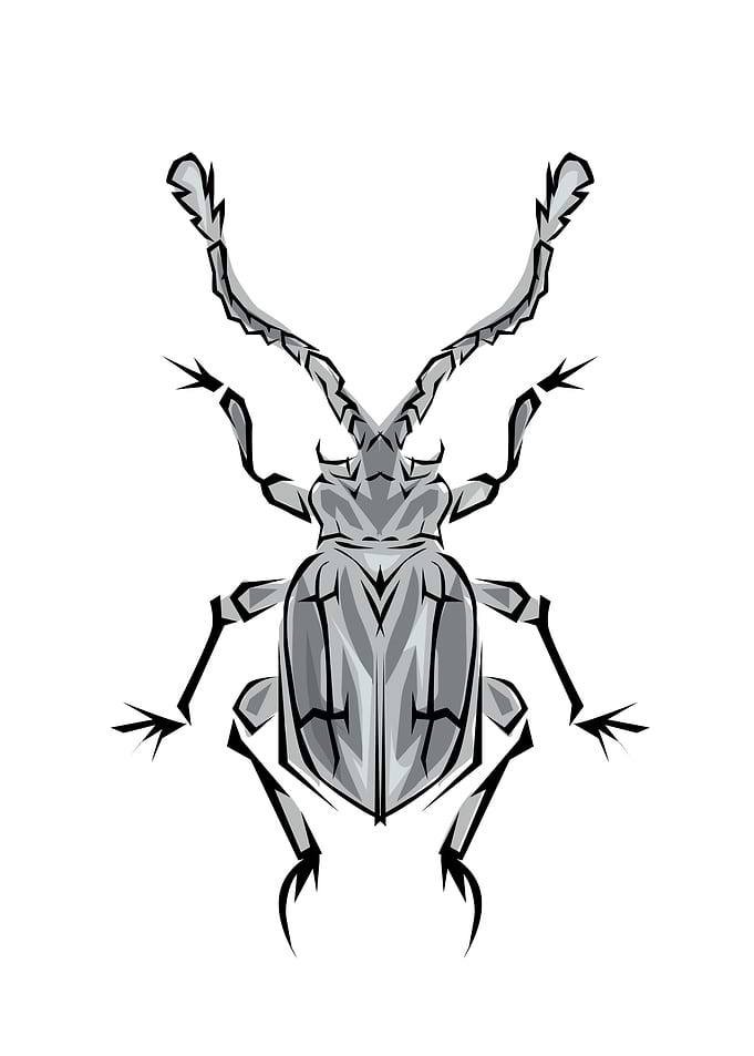Insect Tribal Style