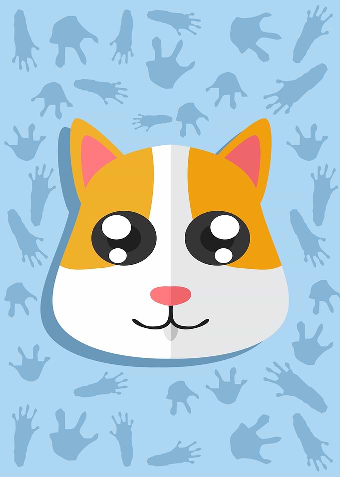 Cute Hamster Head