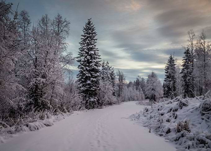 Rovaniemi