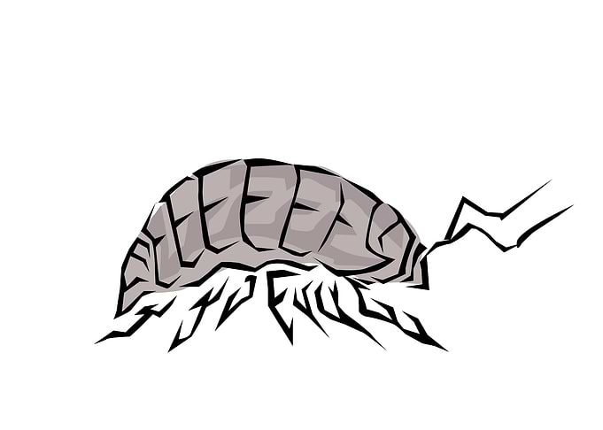 Insect Tribal Style