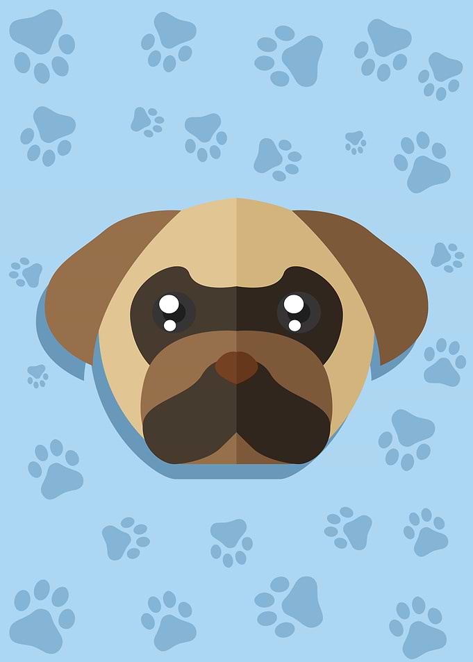 Cute Dog Head