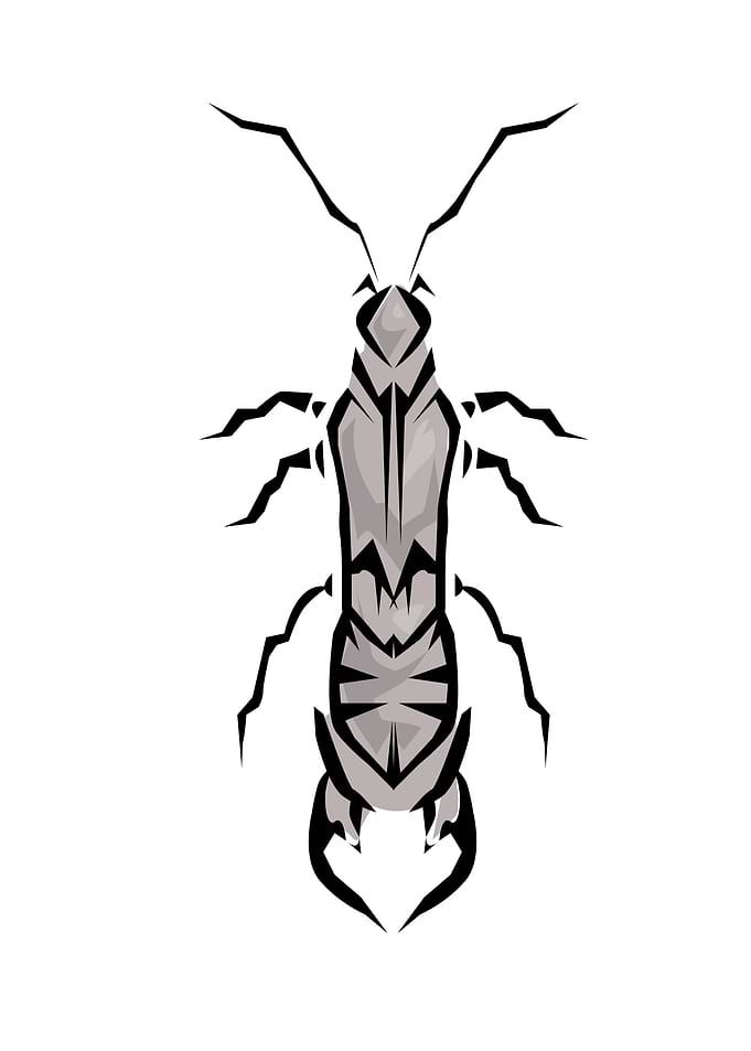 Insect Tribal Style