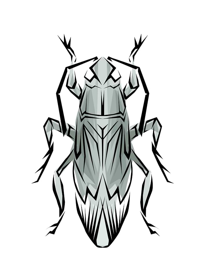 Insect Tribal Style