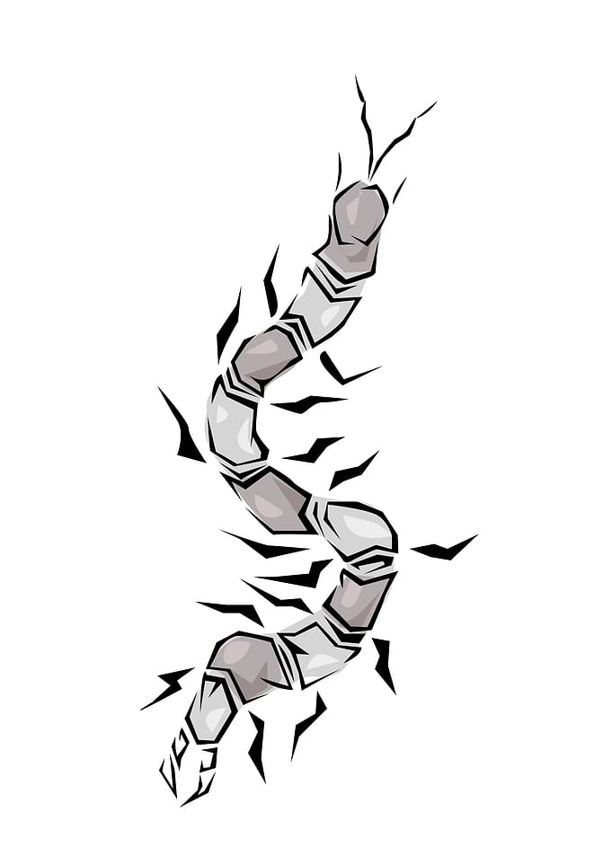Insect Tribal Style