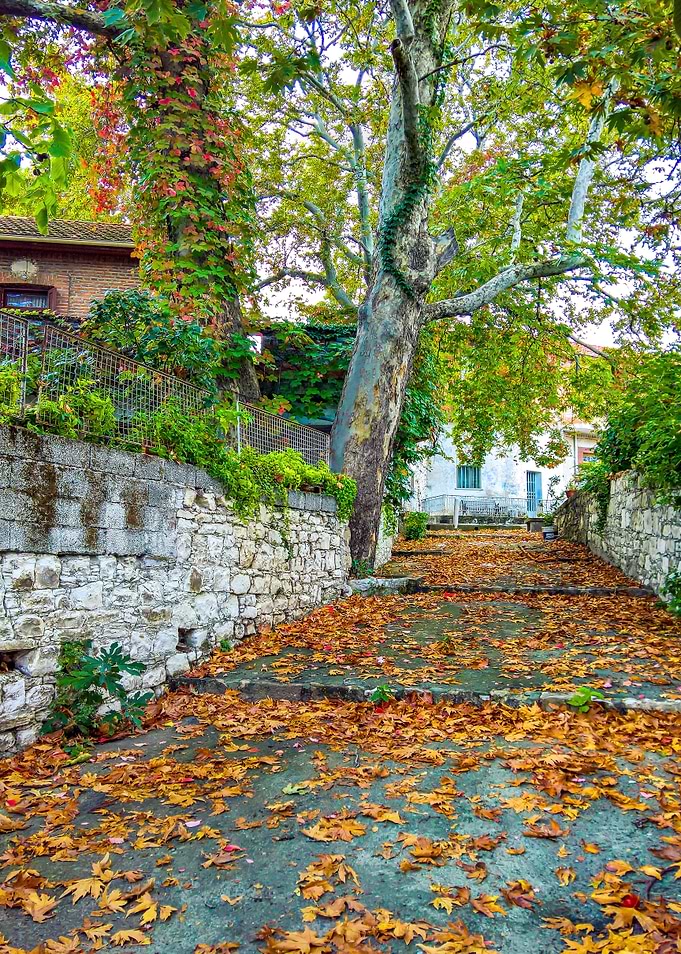 Up the road in Autumn