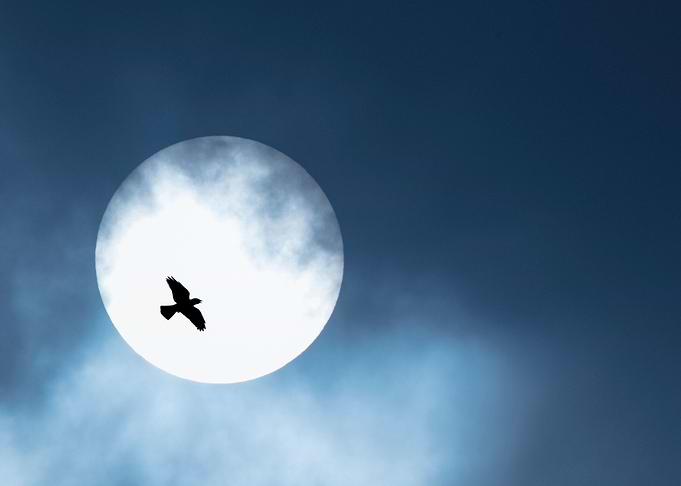 Sky is the limit