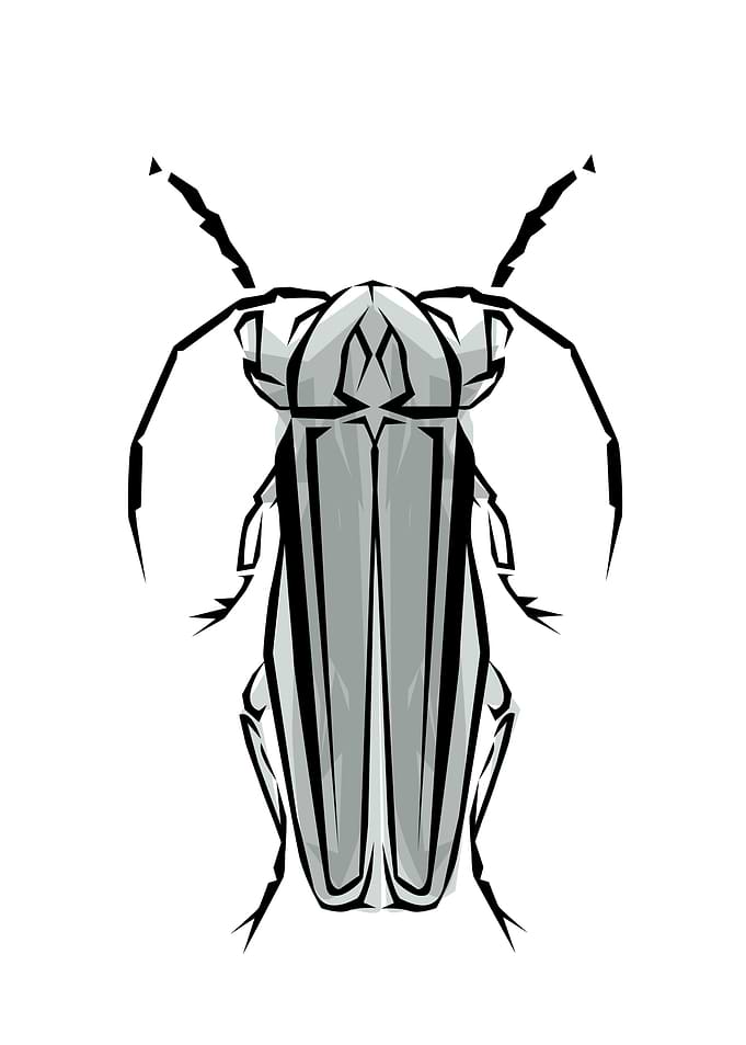 Insect Tribal Style