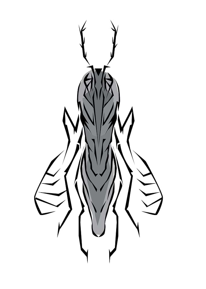 Insect Tribal Style