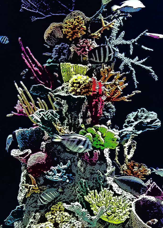 Choral reefs