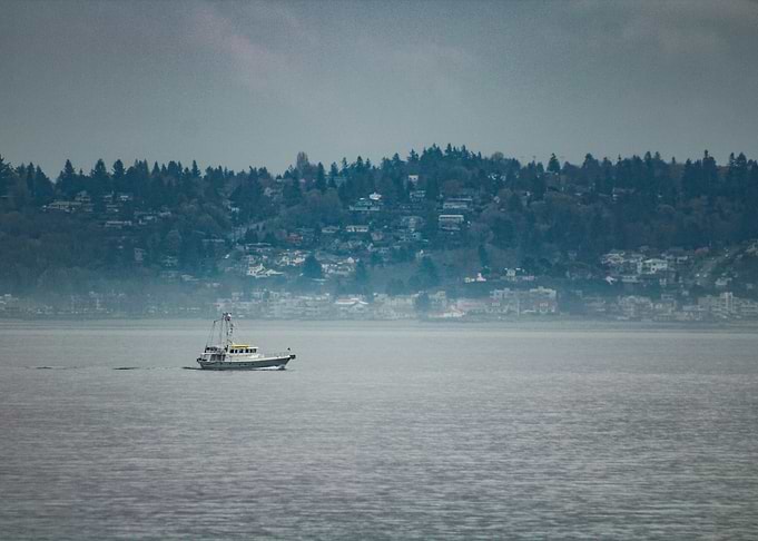 Single Boat