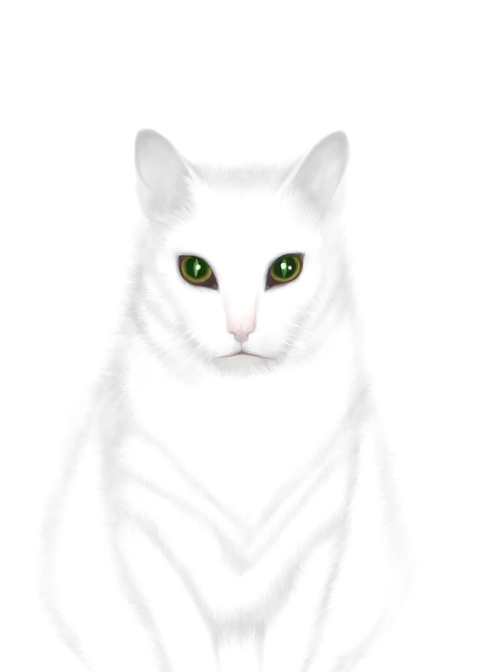 The Cat Who Walks Through