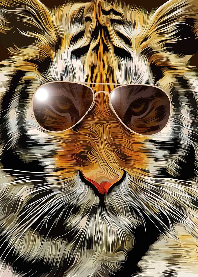 In The Eye of The Tiger