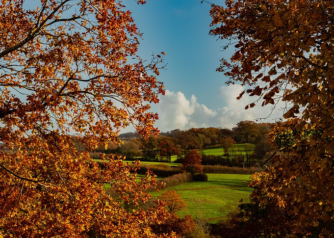 Start Of The Fall